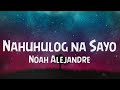 Nahuhulog Na Sayo - Noah Alejandre (Karaoke Version)