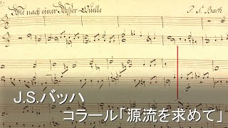 Download lagu 【パイプオルガン】J.S.バッハ - コラール「源流を求めて」BWV1119 【バロック】演奏 - 冨田一樹 J.S.Bach / Org - Kazuki Tomita mp3 Download lagu 【パイプオルガン】J.S.バッハ - コラール「源流を求めて」BWV1119 【バロック】演奏 - 冨田一樹 J.S.Bach / Org - Kazuki Tomita mp3