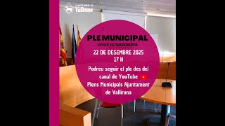 Ple extraordinari  - 22 de desembre de 2025