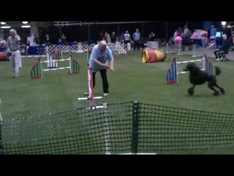 Mitsy and Luanne Masters JWWPCA 2013