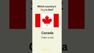 Can You Name This Flag? #english#quiz #englishgrammar #flag