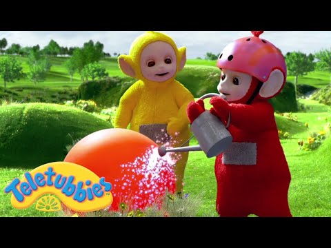 Teletubbies: Watering Can | 1502 | Cartoons for Children