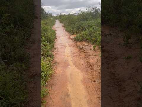 Chuva em Tanque Novo-BA 13/02