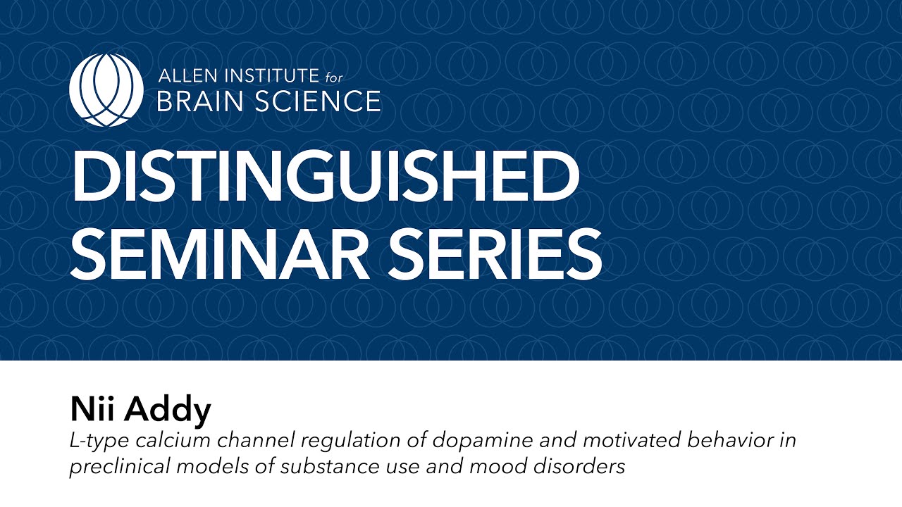 Distinguished Seminar Series: Nii Addy