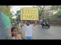 Giving Strangers Free Mangoes  #Mumbai #Gorai