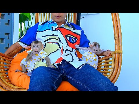 POLEE & JULIE So Fresh When Dad Bring To Enjoy The Yard.