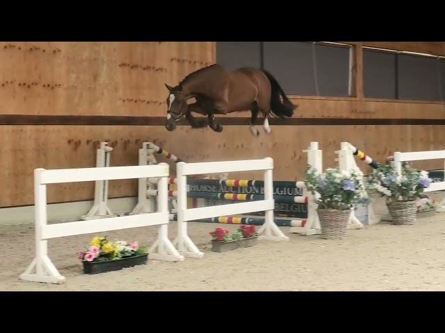 jumping