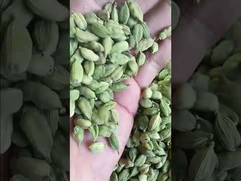 Grade: super bold green cardamom, cardamom size: 8 mm