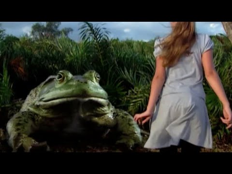 Os Mutantes - Tati encontra Sapo Bufo