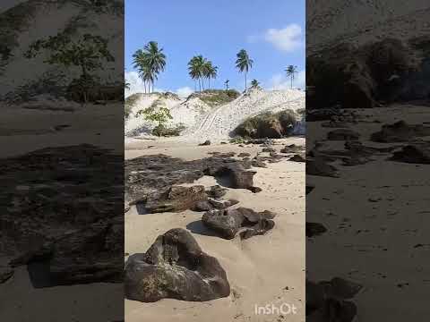 Conheça  a praia mais bonita  de Pernambuco. Praia de Guadalupe,  Sirinhaém PE 
