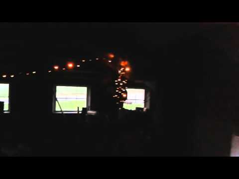 Lille pede OG fladfisk VS jens