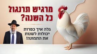 מרגיש תרנגול במשך כל השנה? | שותפים בזיכוי הרבים | הדרך למחילת עוונות ᴴᴰ