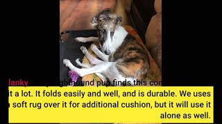 HIPIPET Lit surélevé pour chien portable de 42 cm / 35,6 cm / 28 cm - Lit surélevé pour chien