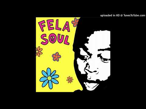 Fela Soul - Trouble In The Water