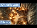 SUPER-RELAXING Cozy Anxiety Relief Music for Dogs! NEW 2024