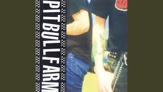 Pitbullfarm Accords