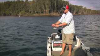 Rapala Down Deep Husky Jerk 14 SLM