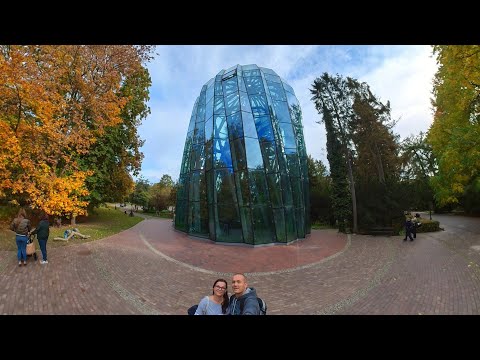 Palmiarnia stara i nowa w Parku Oliwskim 2015-2022r. Gdańsk Oliwa. Rośliny w palmiarni. Park Oliwski