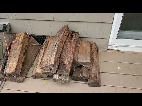 Why Stacking Firewood Against Your Home is a Bad Idea