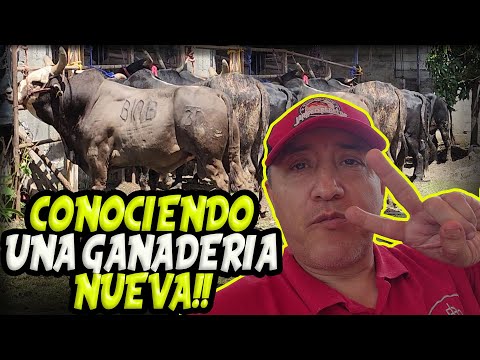 I went to visit a new ranch! Rancho San Isidro