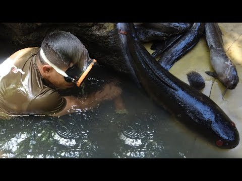 SE02EP025 Part 3 - HINDI PA TAPOS ang LABAN sa PANIBAGONG LUNGGA ng mga HITO | San Pablo City, Lagun