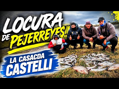 Plagado de pejerrey el salado en la cascada de Castelli!!!