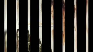 La Oreja de Van Gogh-Nara Nara