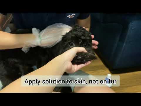 How to apply Frontline Spray on Dog / Cat