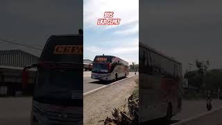 Download lagu BUS EKA CEPAT #shorts #shortvideo #short #shortsvideo #bus #busmania #ekacepat mp3