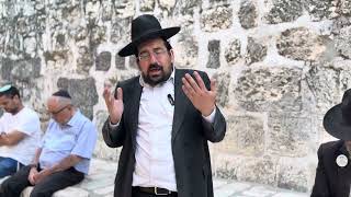 עורו רועי ישראל יש להשיב את העבודה | הרב אליהו ובר (ישיבת הר הבית) - התמונה מוצגת ישירות מתוך אתר האינטרנט יוטיוב. זכויות היוצרים בתמונה שייכות ליוצרה. קישור קרדיט למקור התוכן נמצא בתוך דף הסרטון