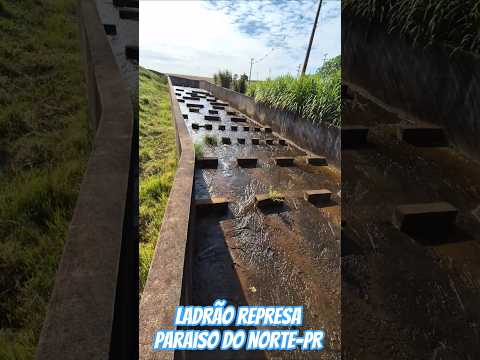 Ladrão represa Paraiso do Norte-PR  #represa #represas #paraná