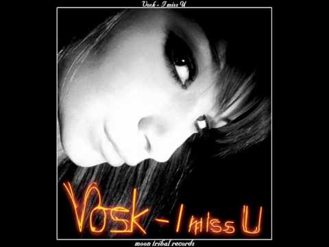 Vosk - I Miss U (Lietzenmayer Deep Eyes Mashup Mix)