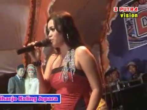 senja   veve vanessa d'Angels