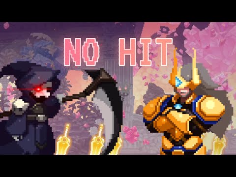 First Hero No Hit (Build at the end) Skul The Hero Slayer