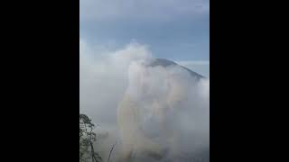 Download lagu story wa pendaki cantik di puncak gunung telemoyo mp3