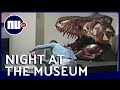 Indringer maakt selfies met dino’s in Australisch museum | NU.nl