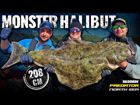 Döme Gábor - Az Északi-tenger szörnye, az óriás halibut