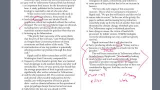 PSAT Test 2, Section 1, 24-28