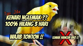Download lagu Luar Biasa..! 3 Hari Lemak Kenari Hancur bro || Tips Jitu Hancurkan Lemak pada Kenari & Burung Lain. mp3 Download lagu Luar Biasa..! 3 Hari Lemak Kenari Hancur bro || Tips Jitu Hancurkan Lemak pada Kenari & Burung Lain. mp3