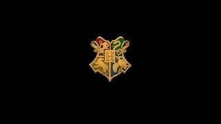 Hogwarts Mystery: Potions Study Class with Professor Severus Shape