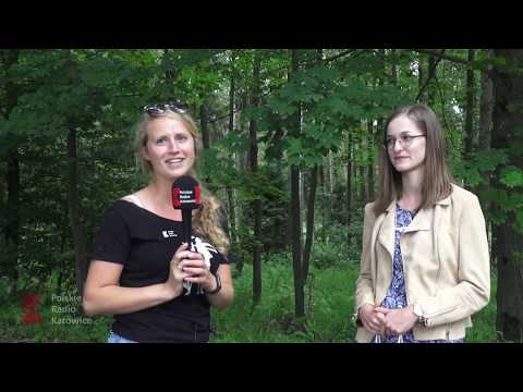 Moje lato - Rezerwat Brzoza. Pawełki. Radio Katowice, 13.07.2020r.