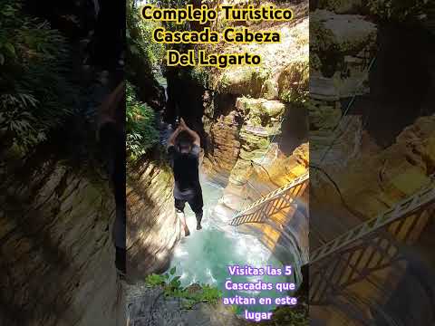 Estamos ubicados en Sucumbios Gonzalo Pizarro Recinto Amazonas km Inf : 0982671979