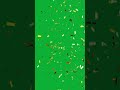 Confetti Green Screen Vertical