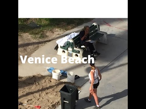 A Girl Who Helps The Homeless On Venice Beach