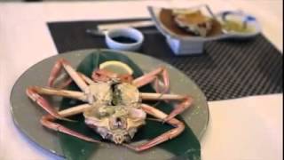 Trip finder หาเรื่องเที่ยว EP 2 Tottori, Japan