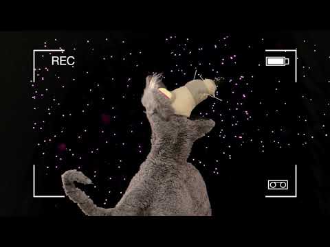 Feliz Navidad - Ratasura