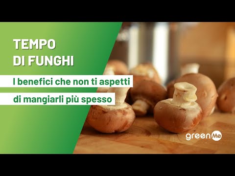 Tempo di funghi: i benefici che non ti aspetti di mangiarli più spesso
