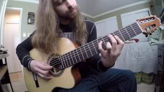 Brian James || Cynic - Integral Birth (Acoustic Cover)