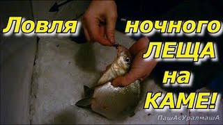 Когда лучше ловить леща на каме