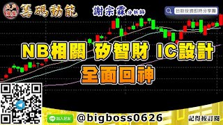 【大戶羅盤籌碼動能】 #謝宗霖0804，NB相關 矽智財 IC設計 全面回神 (圖)